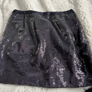 Sequin Navy Blue Skirt